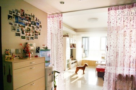 家有寵物如何布置?必學寵物客廳裝扮