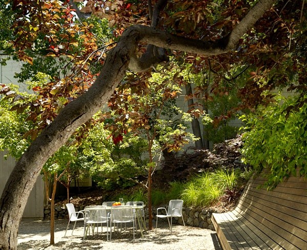 һ������ͥԺ�OӋ�е����c