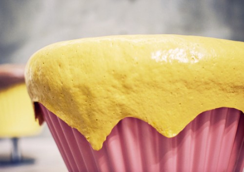 ��ʳ��������