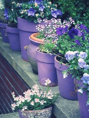 ����ɫ�����v������С���ıP���