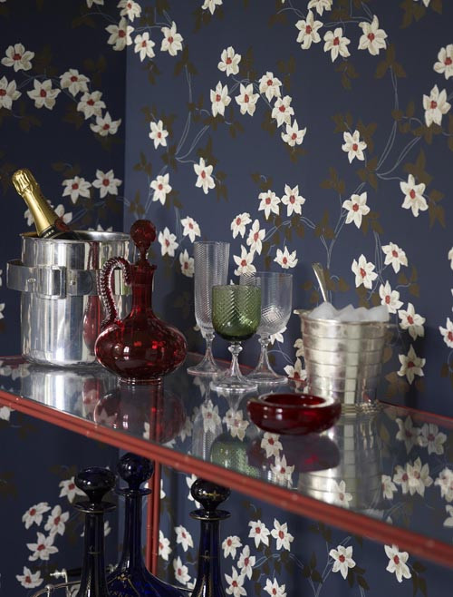 ��ˬ�Ҿ����໨��