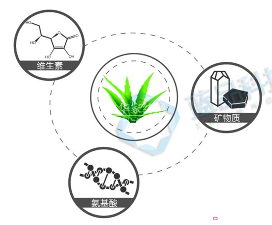 �{(l��n)Ʒ���J�C���w�S ����ȫ�´�Ʒ�w�(y��n)