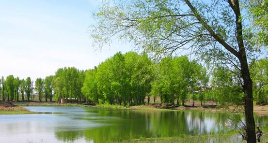 �W�ɼҼ����Һʹ����Ђ��s��