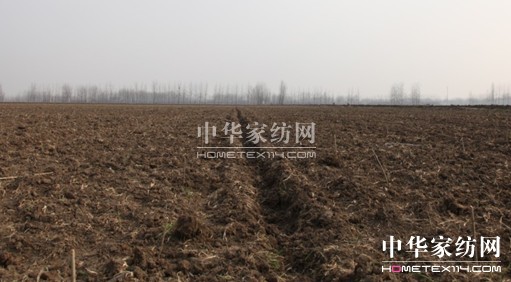 ���ýz�I�f�����B(t��i)ɣ�@�ƌW��ɣ