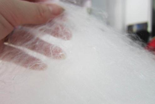 長春質量監(jiān)測抽查中蠶絲被八成不合格