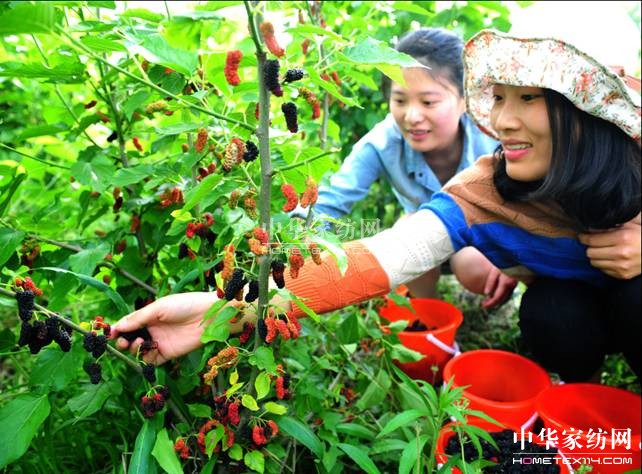 ���ýz�I��ɣ�ز�ժ���A�M��Ļ