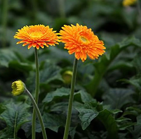 �����՚���҃�(n��i)ֲ���b����ס��Ҫ���m����