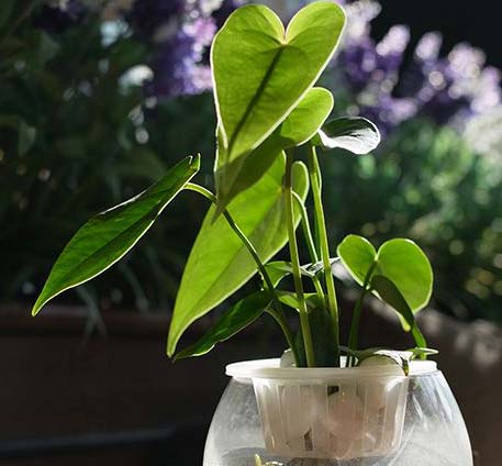 �����՚���҃�(n��i)ֲ���b����ס��Ҫ���m����