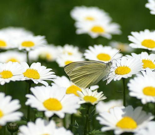 �����՚���҃�(n��i)ֲ���b����ס��Ҫ���m����