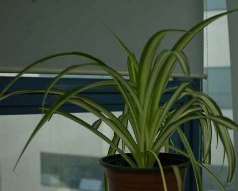 �����՚���҃�(n��i)ֲ���b����ס��Ҫ���m����