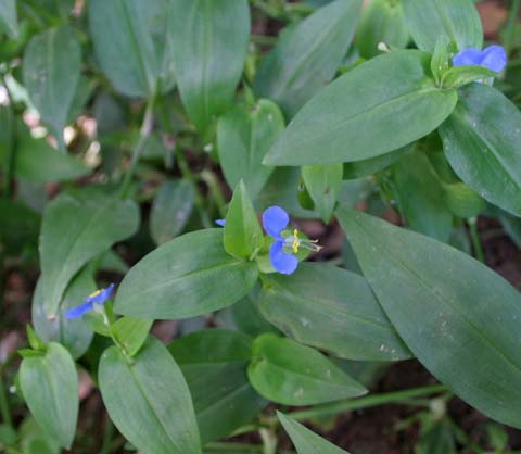 �����՚���҃�(n��i)ֲ���b����ס��Ҫ���m����