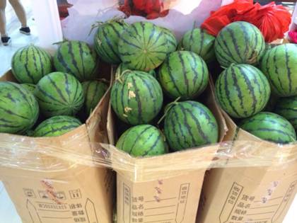 �W�ɼҼ�ƽ�ȵ�������}���M���У�