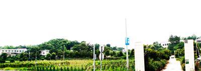 �����Ҽ����ٮ��ЙC���B�r�f ׌�T�����Ϸ��Ĳ�