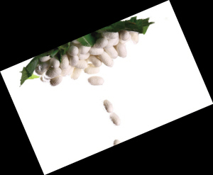 �Q�z���q�r(ji��)������](m��i)�ך���