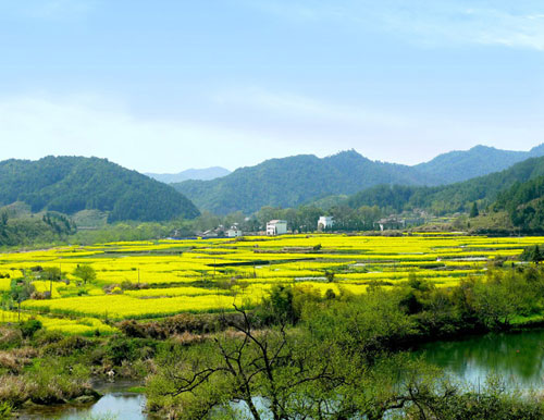 �ձ��ȴ�����ˇ���l����@����Ȼ�L��