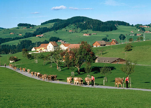 �ձ��ȴ�����ˇ���l����@����Ȼ�L��