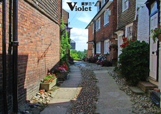 ���_�m���m�qϵ�У����ԚW�޵ı�ů�w�