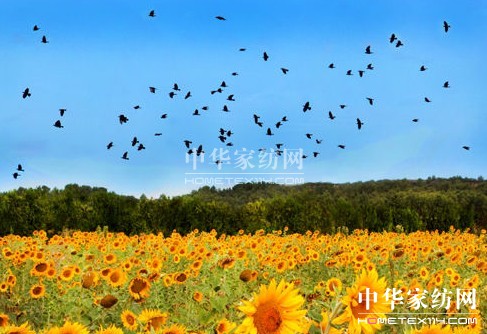 ����һ��ȥ���_��˹���s�᣿