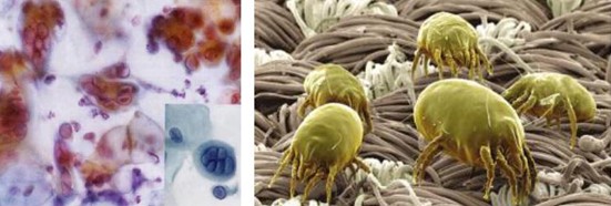 ���_�m�Ҽ����R�����B�������x�͕�����⣿