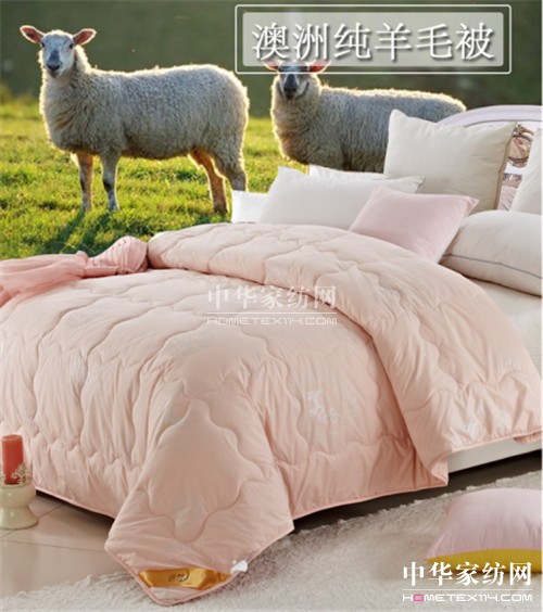 遠夢家紡:“被”戰世紀寒潮