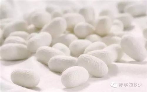 ����Ҽ���ʲô���p�m�O��