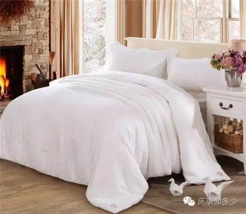 ����Ҽ���ʲô���p�m�O��