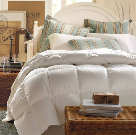 ���t���Ҽ���о��(ji��)�����N���ӵı�ů����Ч�ڡ�����^��(du��)��֪����