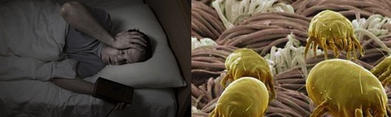 ���z�R�ƣ��_�����B���ܼҾ�4.0�r��