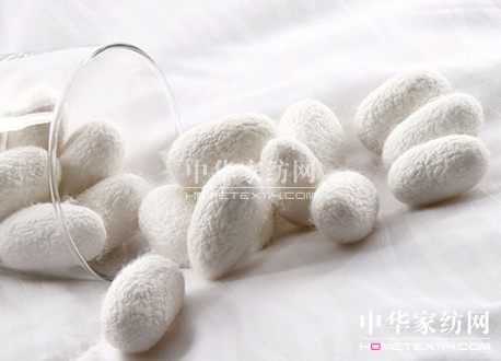 �Q�z���ס������z�Ƽ����B�����I�����c����