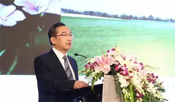 �����׃�����������δ����2017�Ї����������Ϻ����_