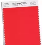 【干貨】香港本色2018流行色發布