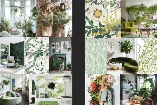 【干貨】香港本色2018流行色發布