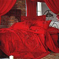 ��ɫ����