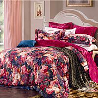 JT2382-�����L��