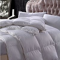 ���B�Z�q��