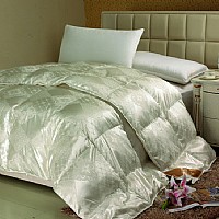 ��������q��(FYRB-002)